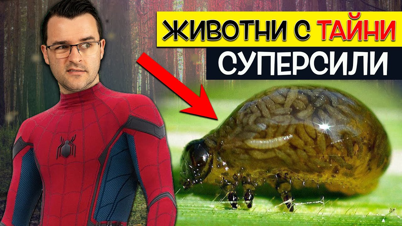Топ 10 невероятни СУПЕРСИЛИ, които животните ПРИТЕЖАВАТ