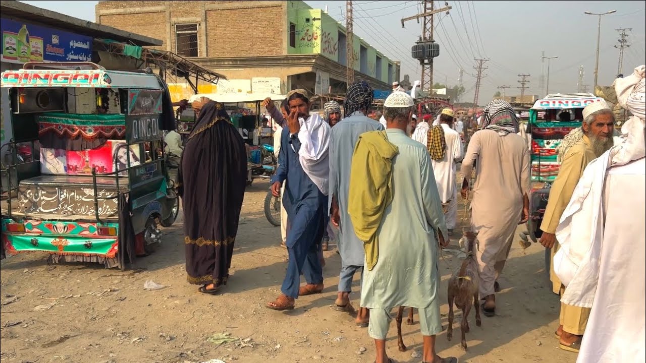 Daily Life in Tank City | 4K Walking Tour Pakistan.