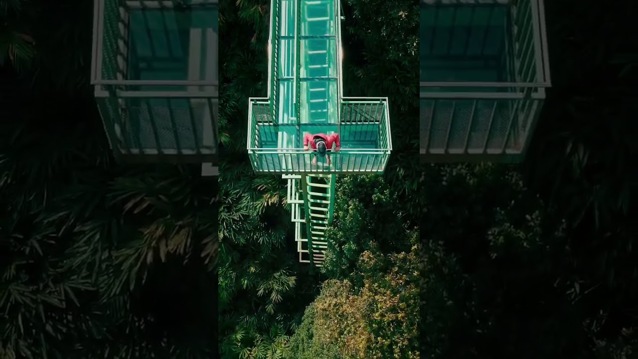 Glass bridge wayanad #wayanad #kerala #tourism #travel
