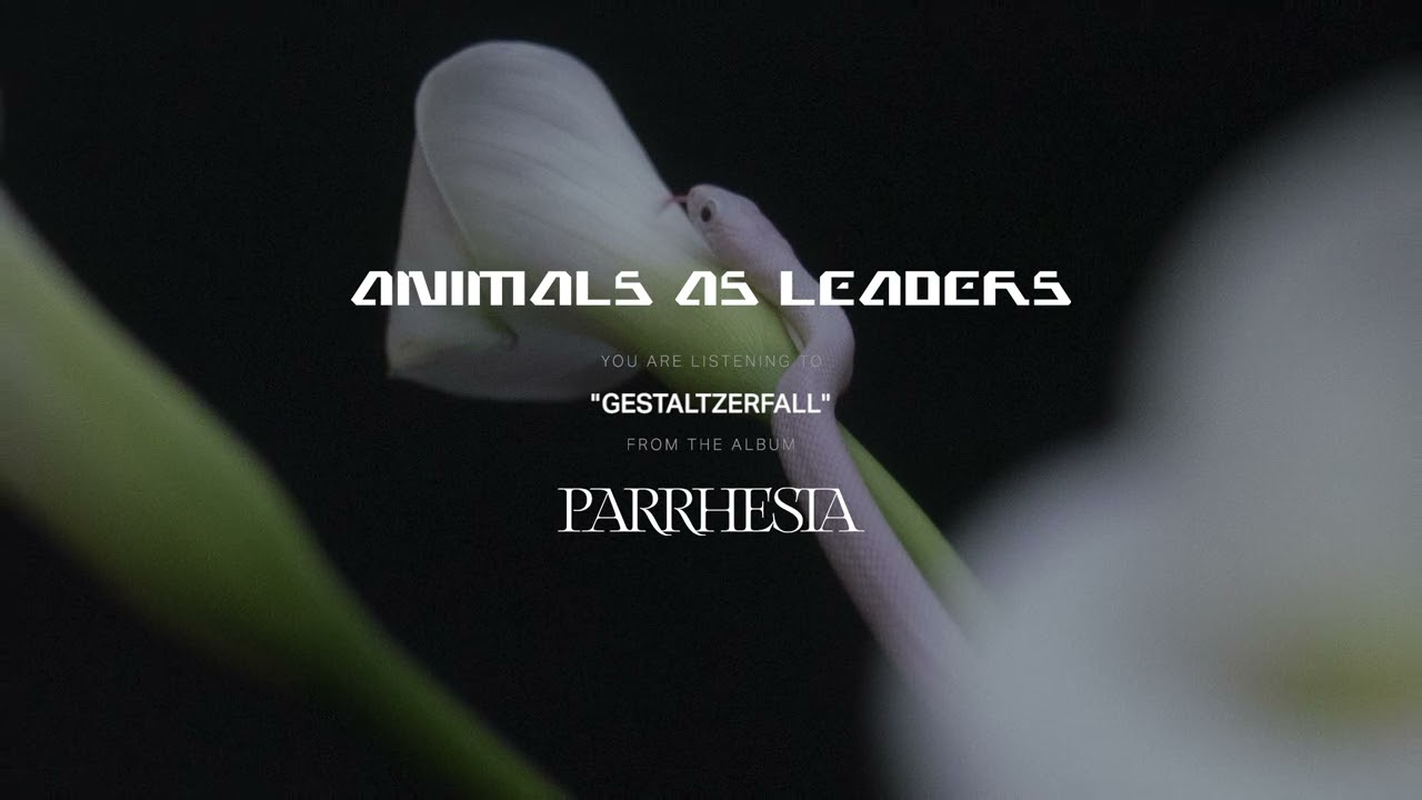 ANIMALS AS LEADERS - Gestaltzerfall