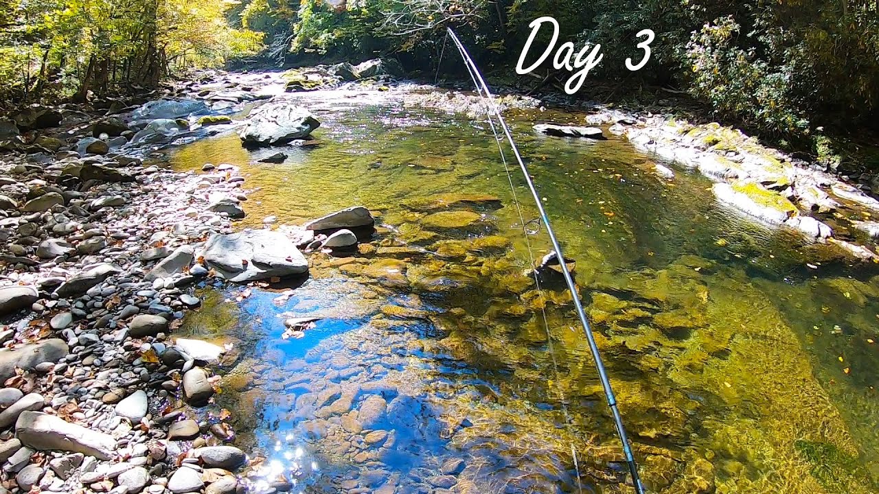 LITTLE RIVER Trout Fishing in the Little River Gorge (Day 3 - GSMNP)