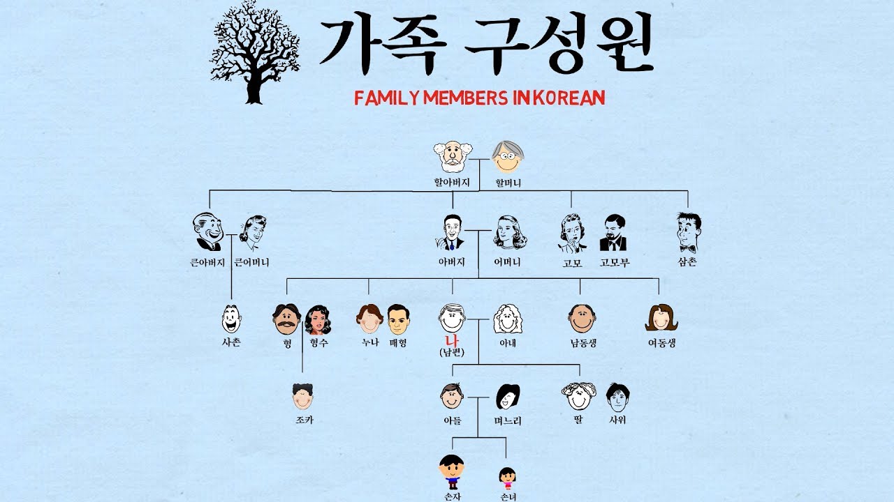 Family Members in Korean (Easy Family Tree)