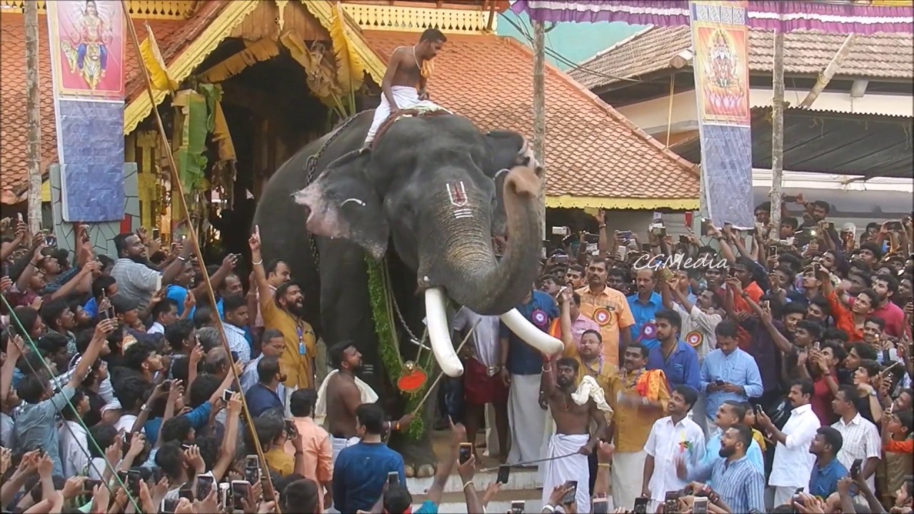 Thirunakkara Pooram 2019. Elephant Mass Entry Pambady Rajan and bharath vinod