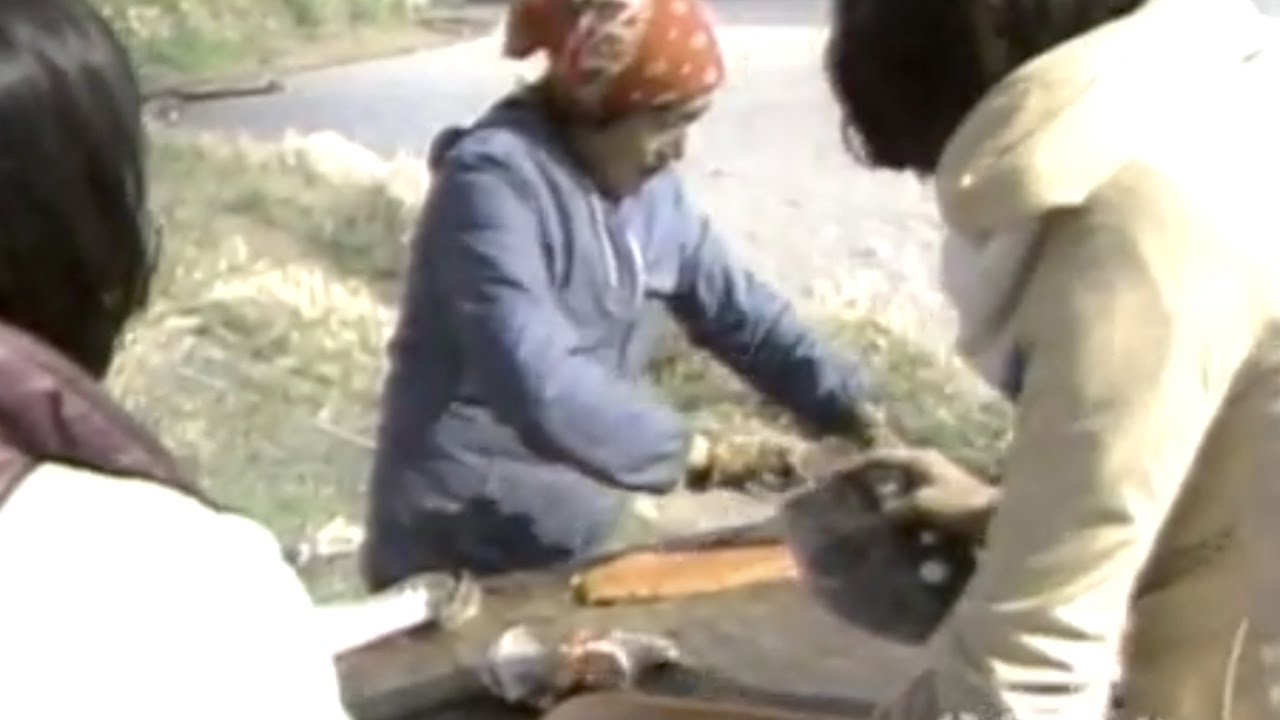 Living on the Land in Alaska: Two Stories (1983)