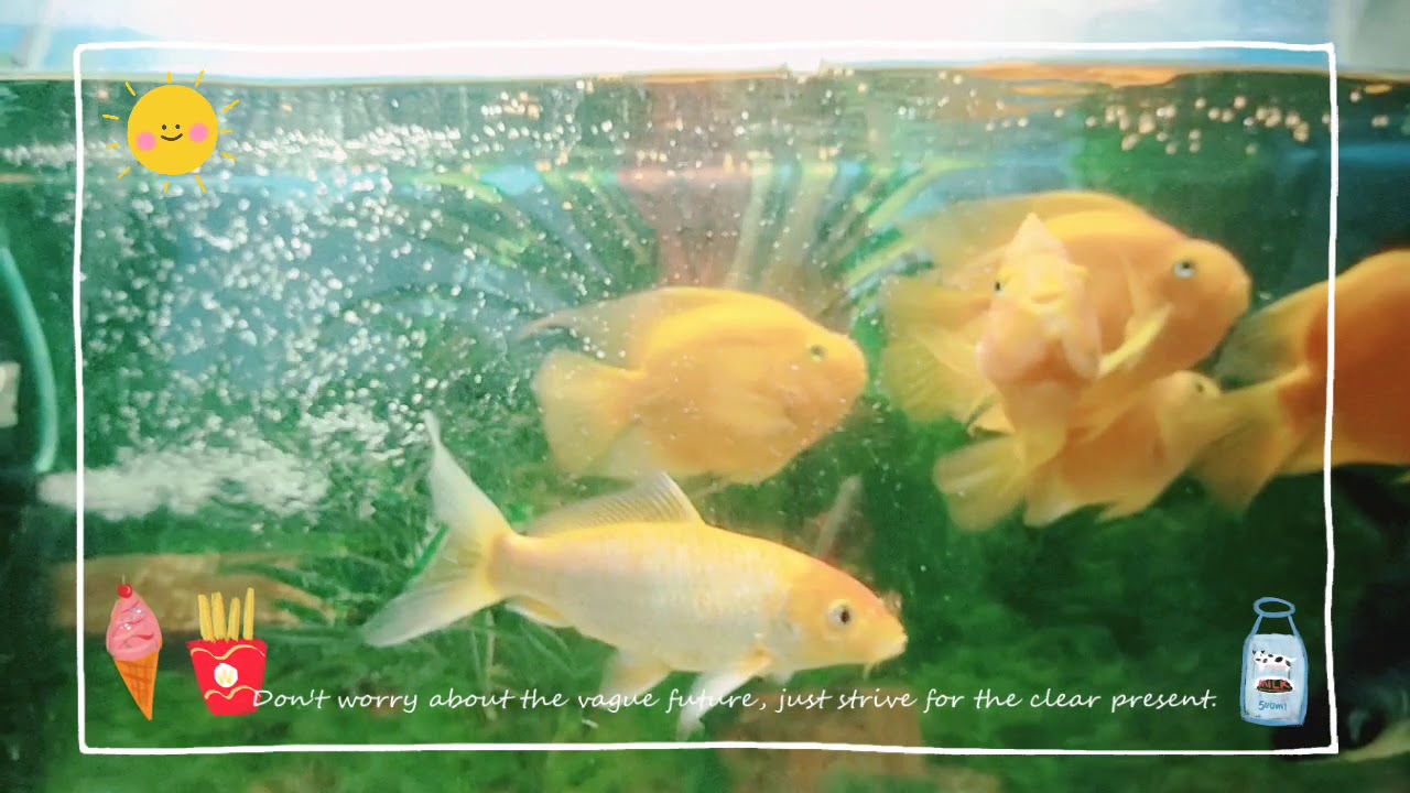 beautiful   #video #PowerYourDreams  #trending #foryoupage #world