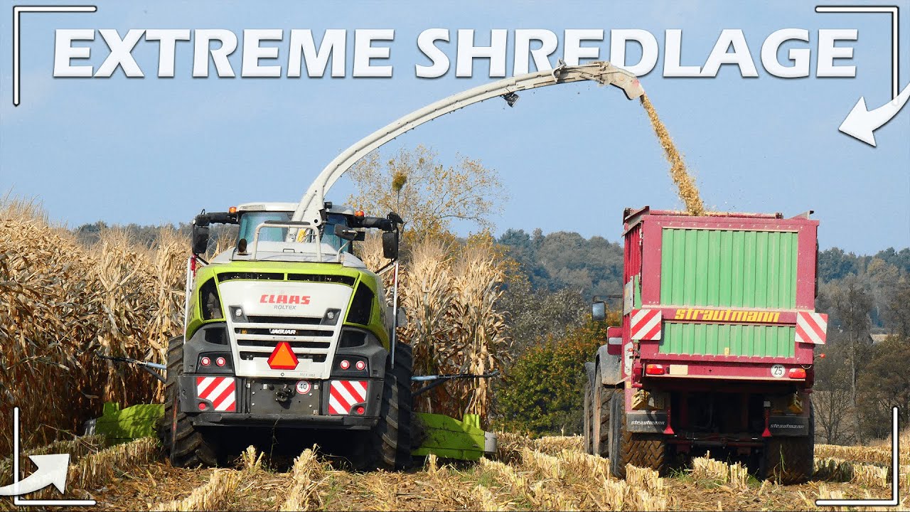 Ekstremalna Kiszonka w formie SHREDLAGE 🔥 GR Błachnio, UR RafMasz 🔥 4x Fendt I AgroMietusek