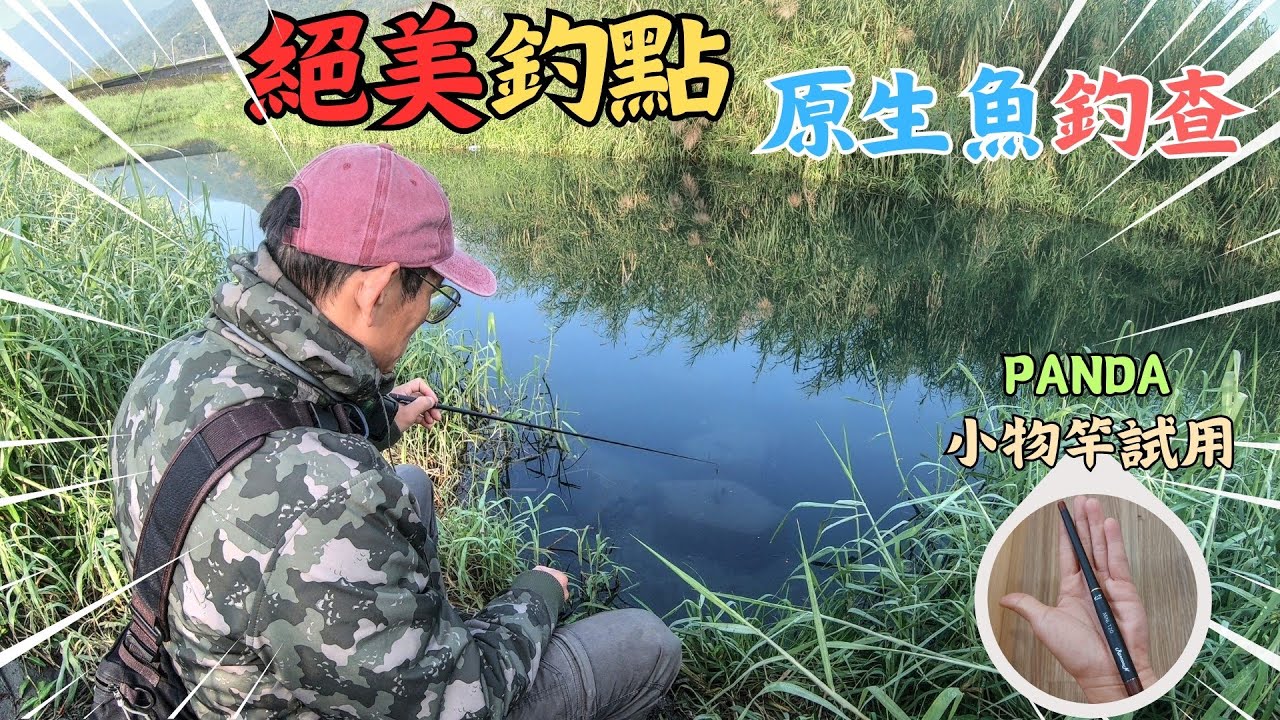 花蓮原生魚大咬，釣到手軟！絕美釣點，保證讓你流連忘返！｜小物釣｜牛屎鯽｜熊貓小物竿｜PANDA  TENKARA｜花蓮釣點｜#釣魚 #タナゴ #保育 @PandaOutdoorOfficial