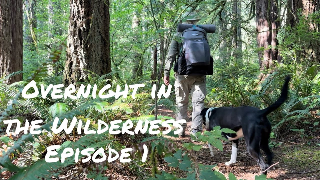 Drift Creek Wilderness