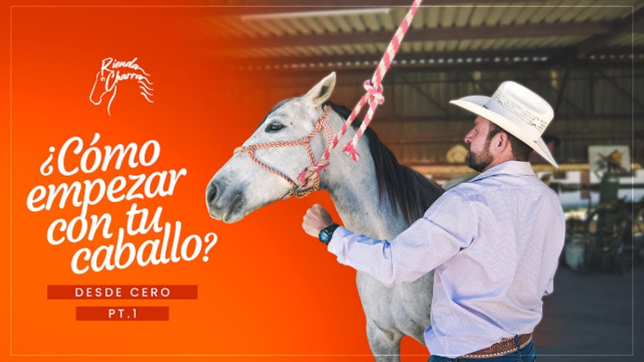 ¿CÓMO EMPEZAR DE CERO MI CABALLO? (Parte 1)