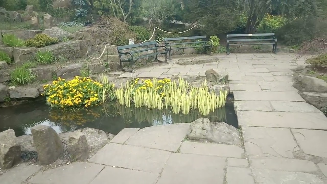 Spring in botanical gardens in Sheffield