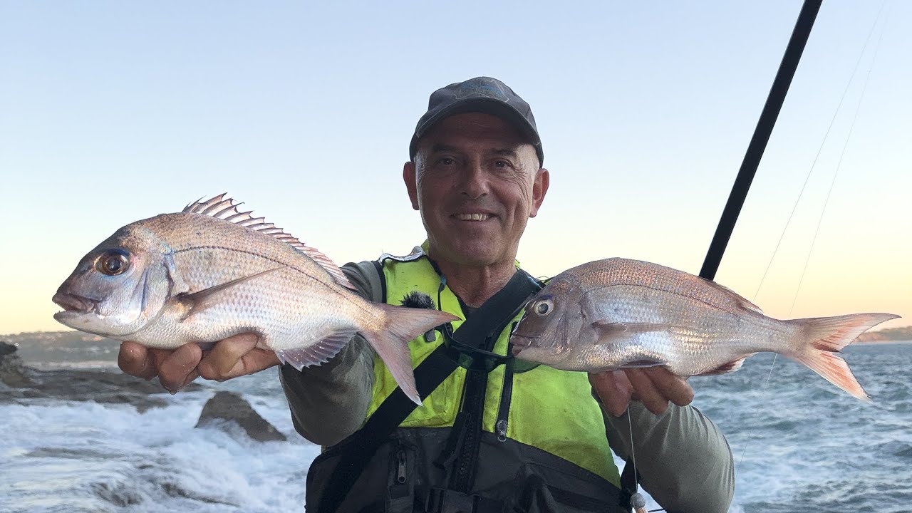 Awesome Tips /  Wash Snapper-Rock Fishing