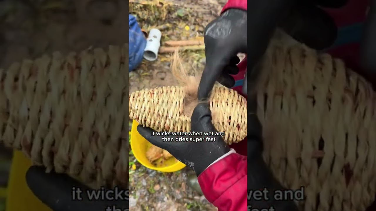 Bird Shelter hack with Alpaca Fleece! 🐦‍⬛ 