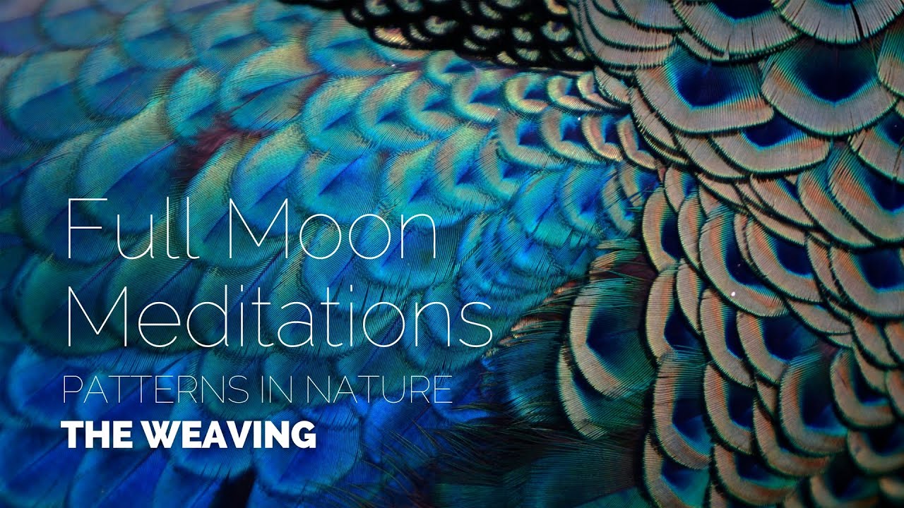 August Full Moon Meditation: Weaving  | Patterns in Nature with TreeSisters
