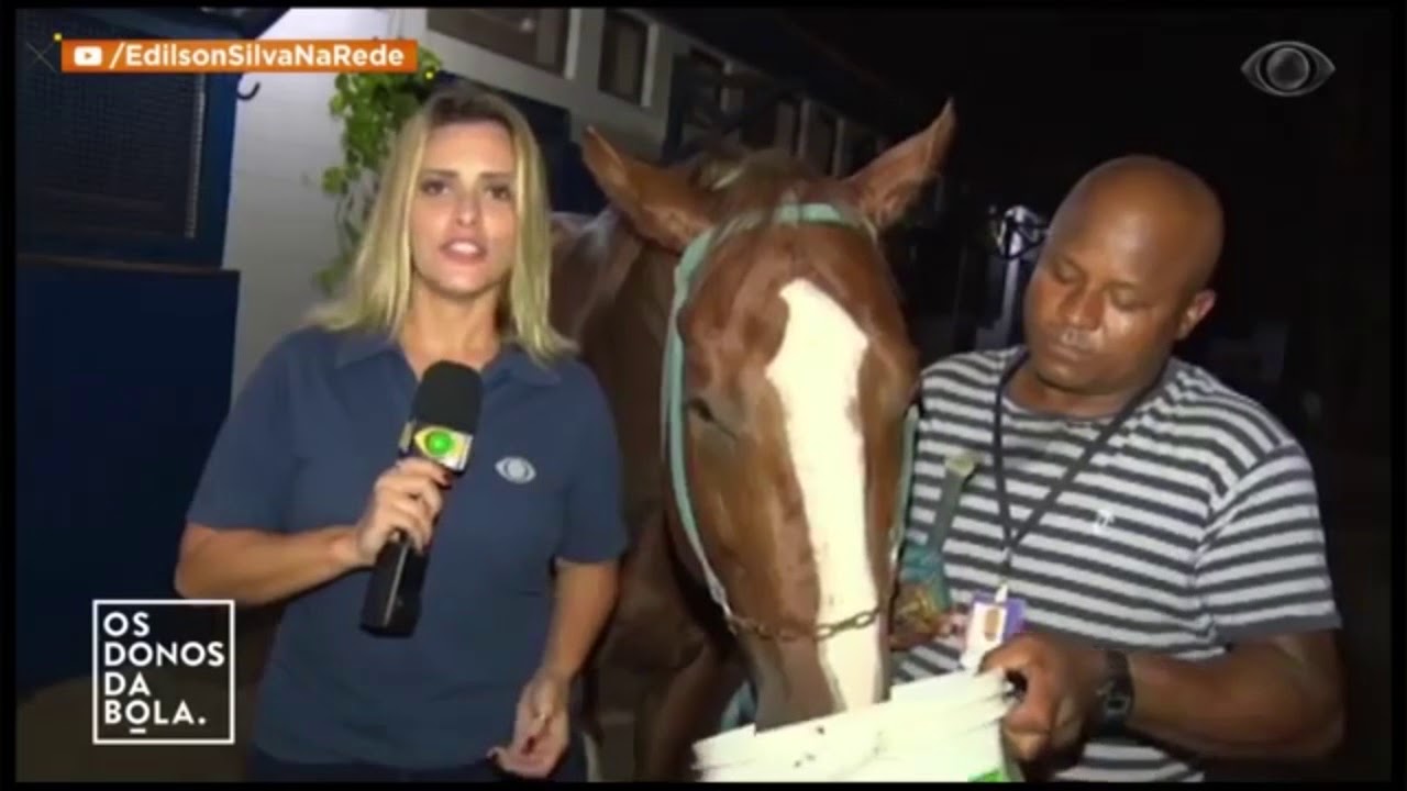 A Hora do Turfe 8 - Cuidados com a alimentação dos cavalos de corrida