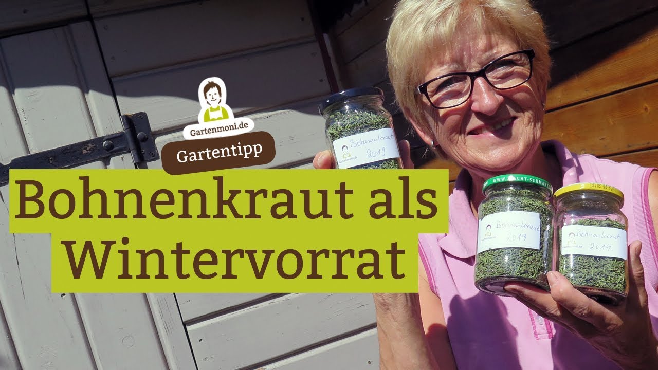 Vorratshaltung: Bohnenkraut als Wintervorrat trocknen - Gartenmonis Vorratskammer