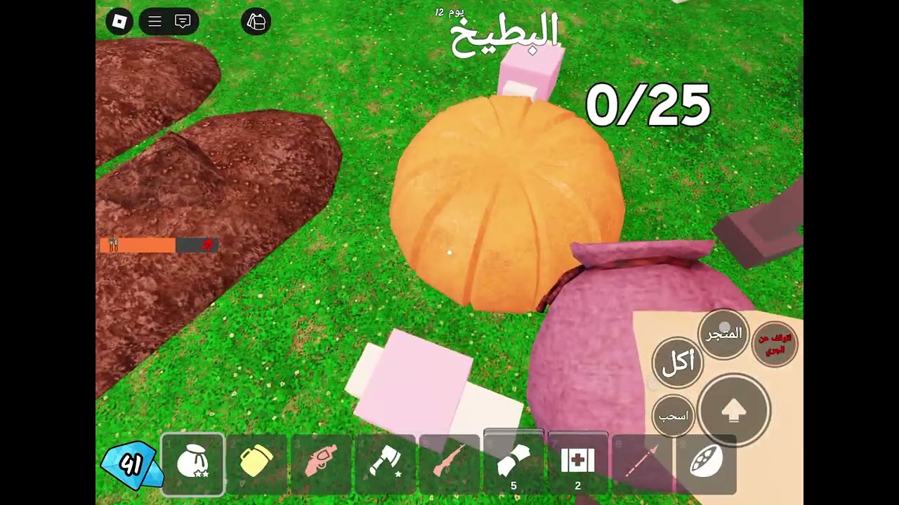 ٣١ أكتوبر ٢٠٢٥