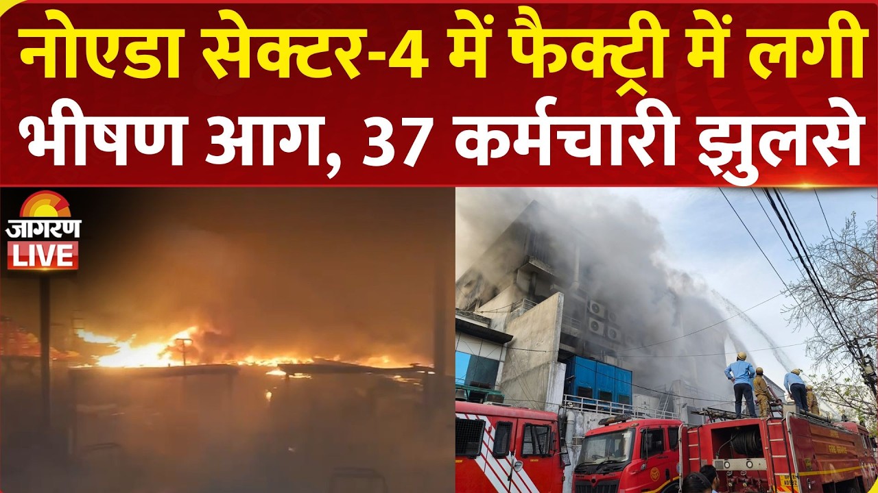 Noida Fire: नोएडा के सेक्टर-4 में बिजली मीटर बनाने वाली Factory में लगी आग, 37 कर्मचारी झुलसे