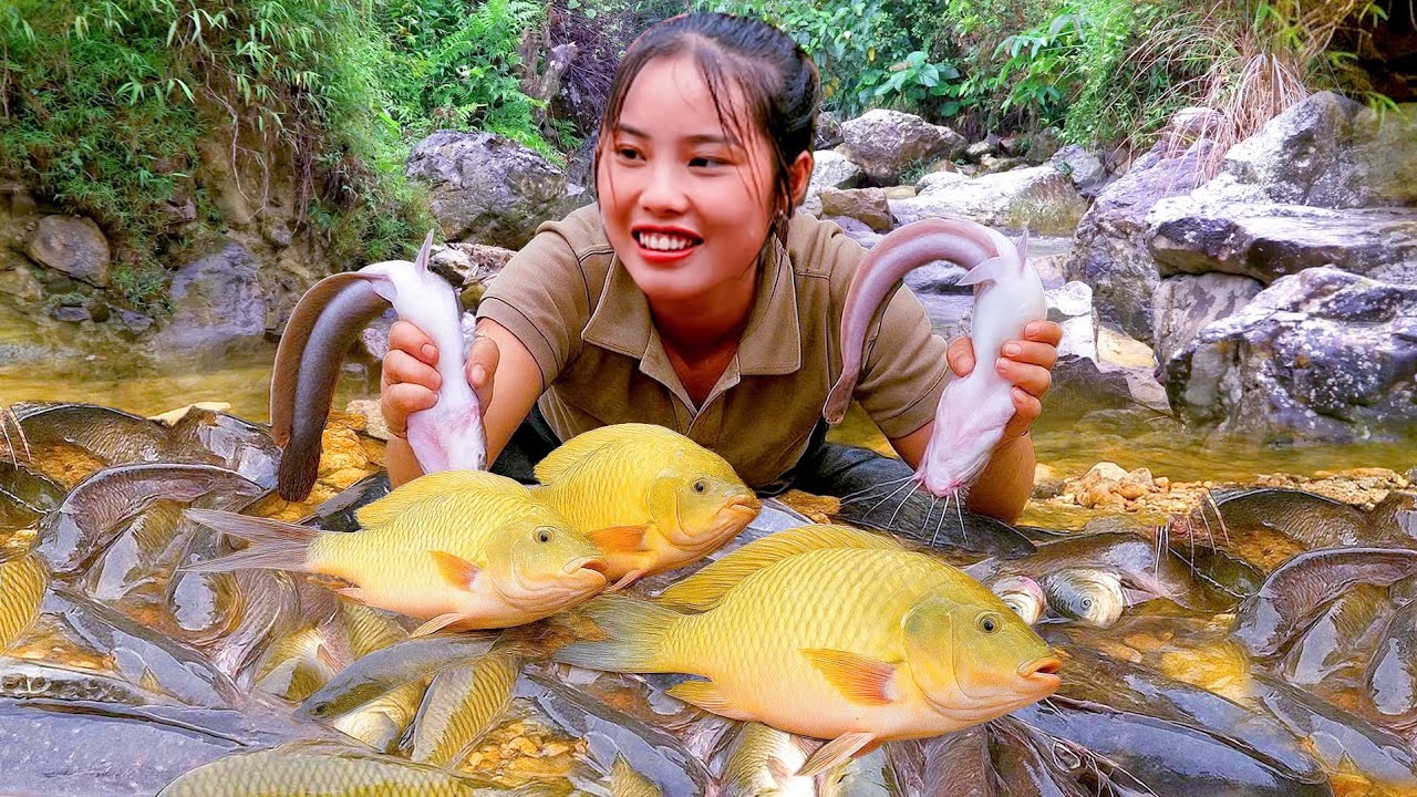 Rainy Day Fishing: Catch Giant Fish with Your Kids and Sell Them at the Market