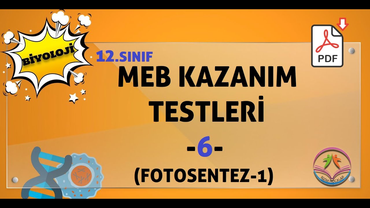 Biyoloji MEB kazanım kavrama testleri 12.sınıf -6 (FOTOSENTEZ -1)