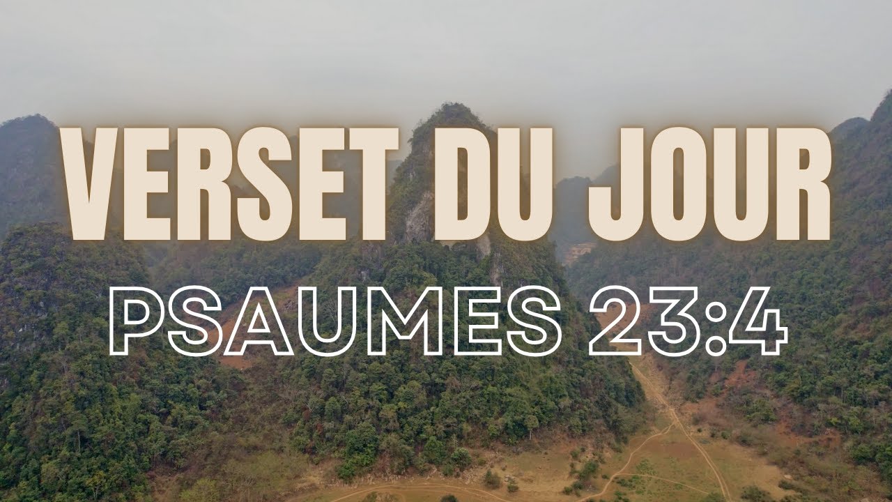 Psaumes 23:4 – Dieu est avec moi, je n’ai peur de rien 🙏 | Verset inspirant