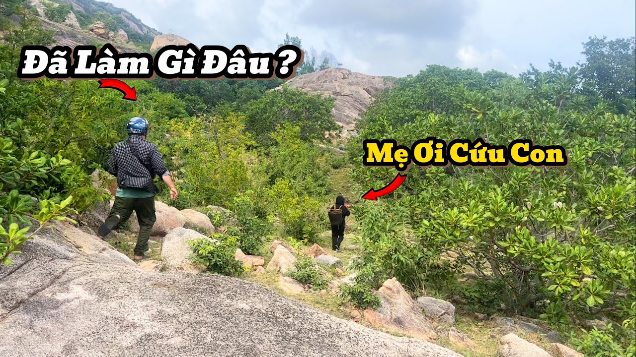 Thiếu Nữ Xinh Đẹp Bồng Con Lên Núi Hái SÂY Về Bán. Gặp Người Lạ BỎ CHẠY mất Dép. | 504
