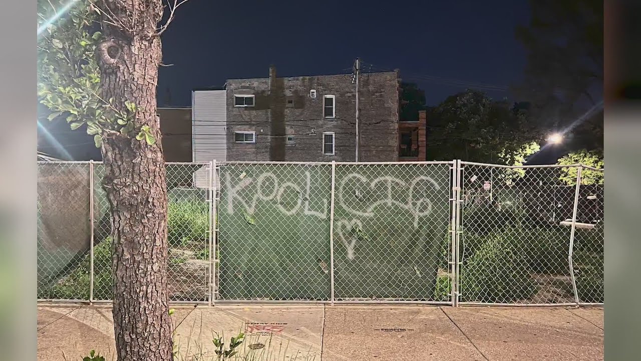 Chicago Loosies: Visual Collection of Graffiti