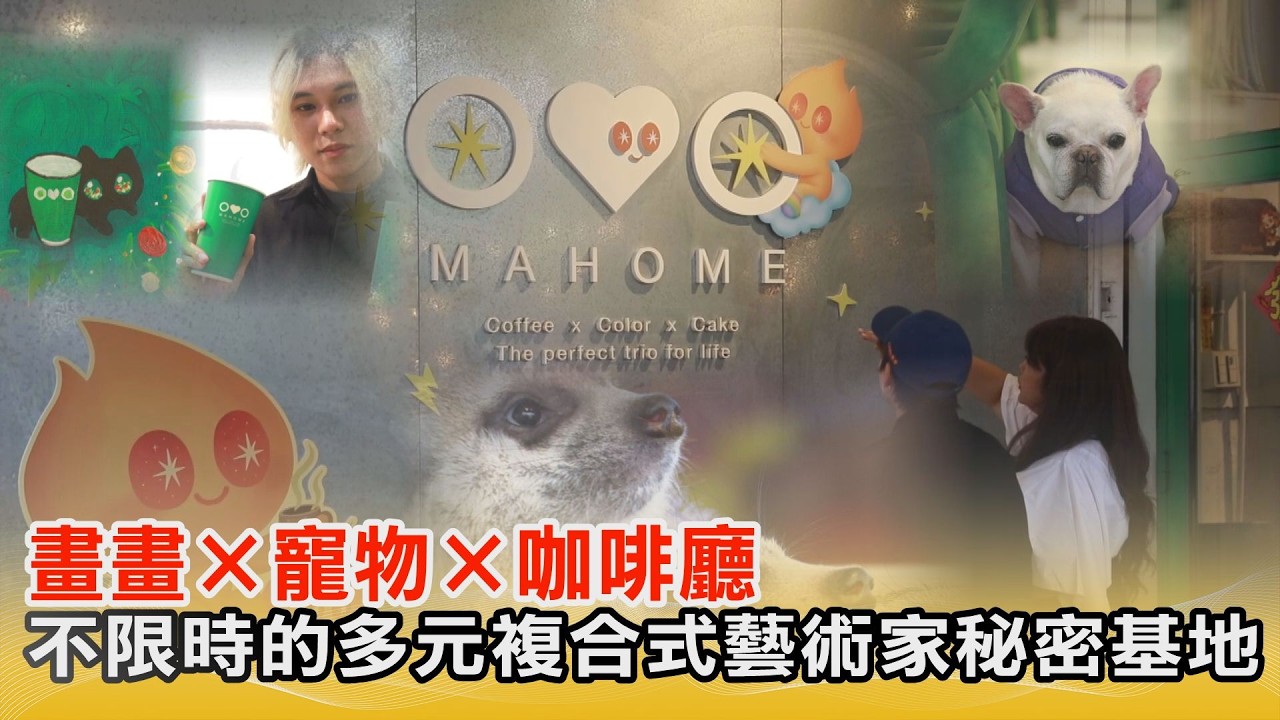 【#口袋名單】畫畫×寵物×咖啡廳｜不限時的多元複合式藝術家秘密基地@中天亞洲台CtiAsia​