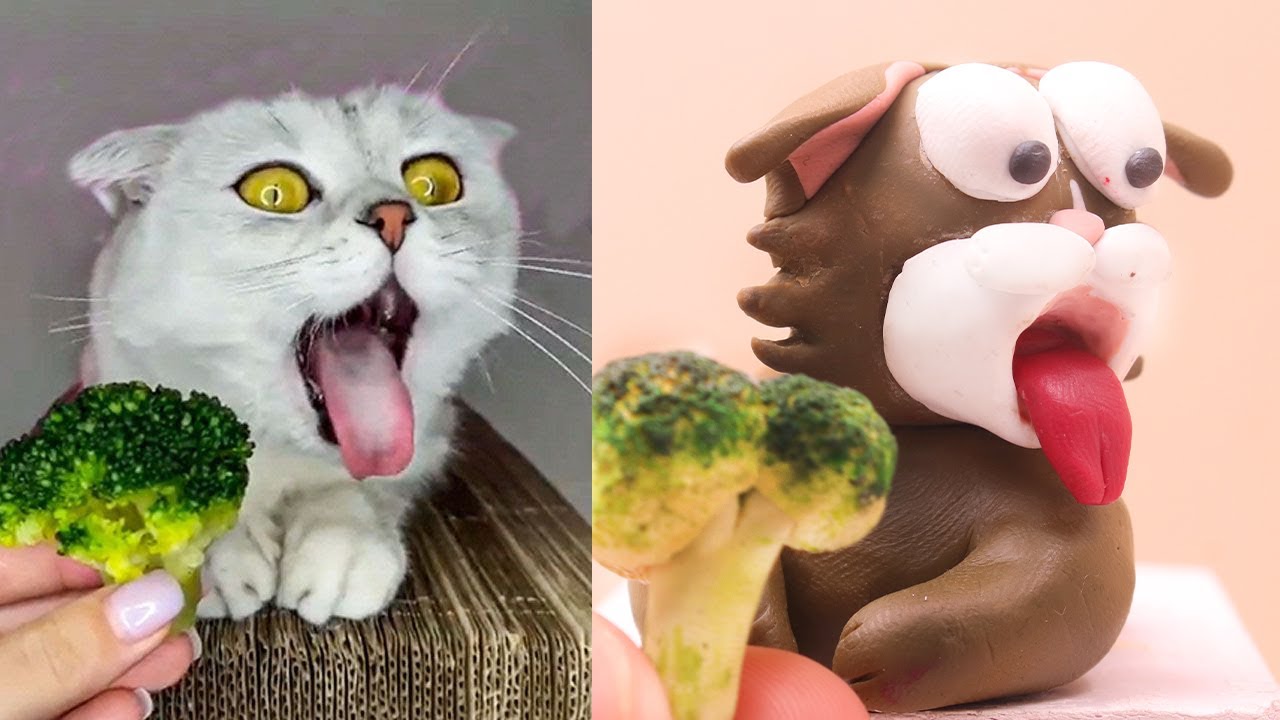 Cats Reaction To Food - Funny Animal Reaction | Ginger Parody
