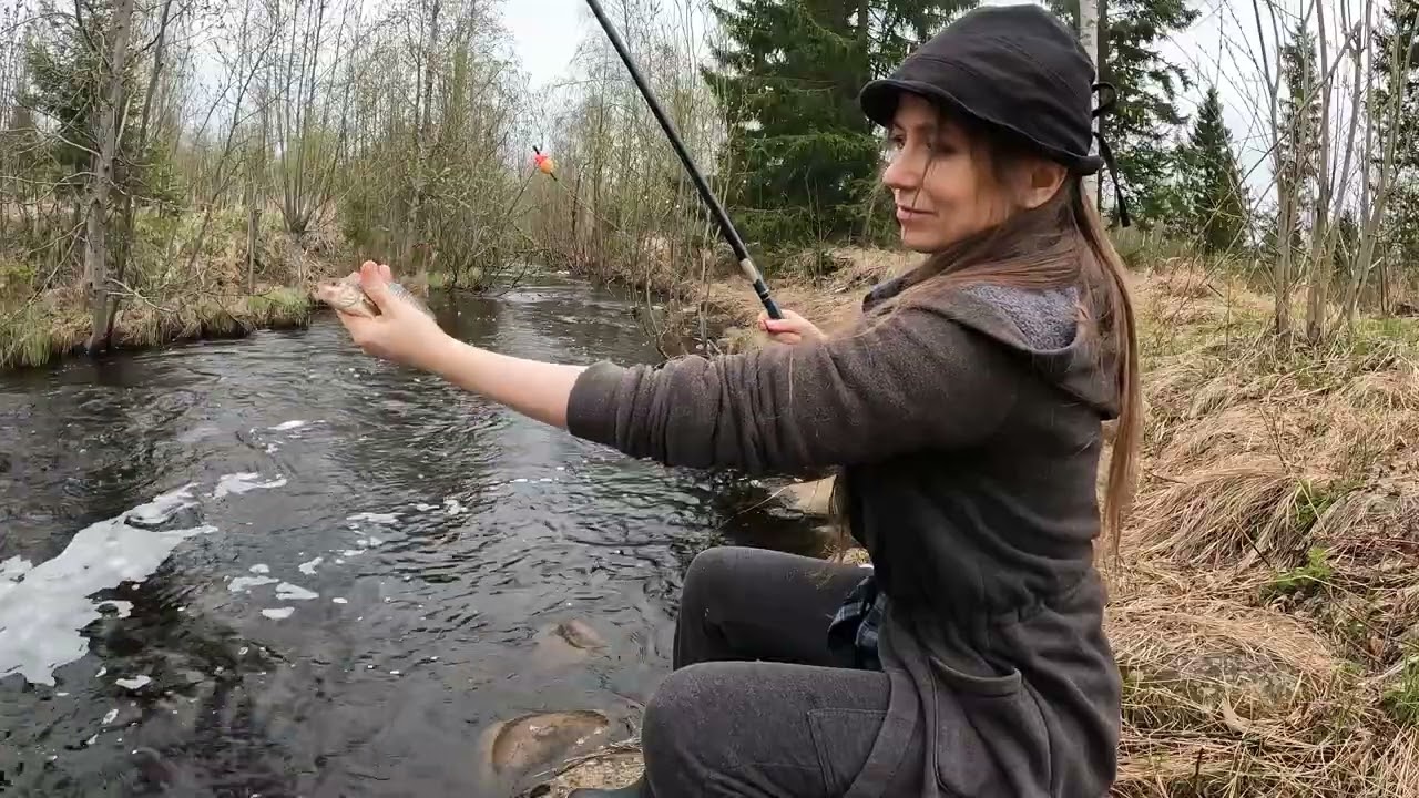 РЫБАЛКА В ЛЕСНОМ РУЧЬЕ. Рыбалка на Севере в лесном ручье. Ловля плотвы в ручье.