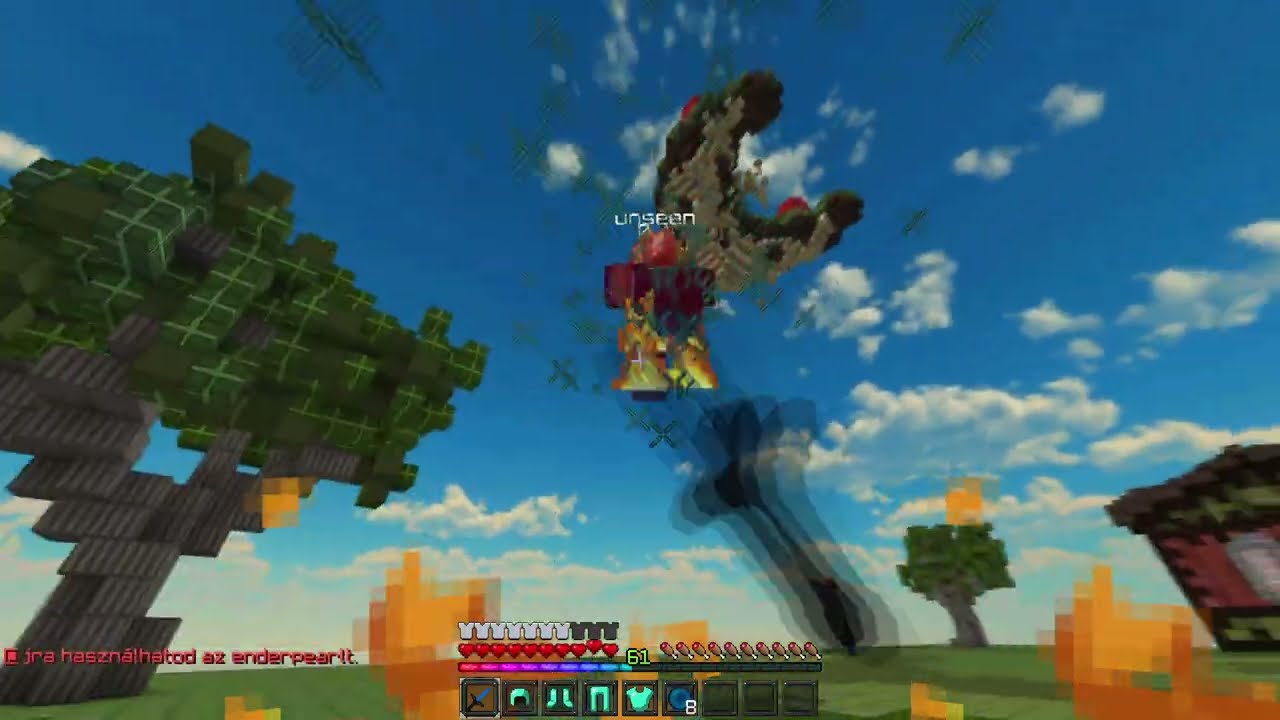fly