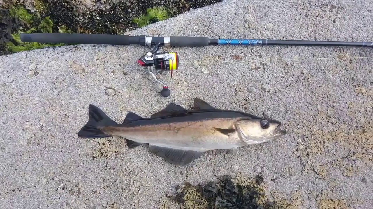Sea fishing - Remote Scottish Highlands