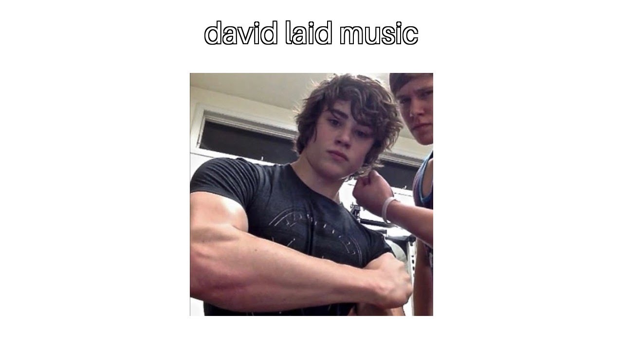 David Laid Music for Gym Motivation 💪 | david laid playlist
