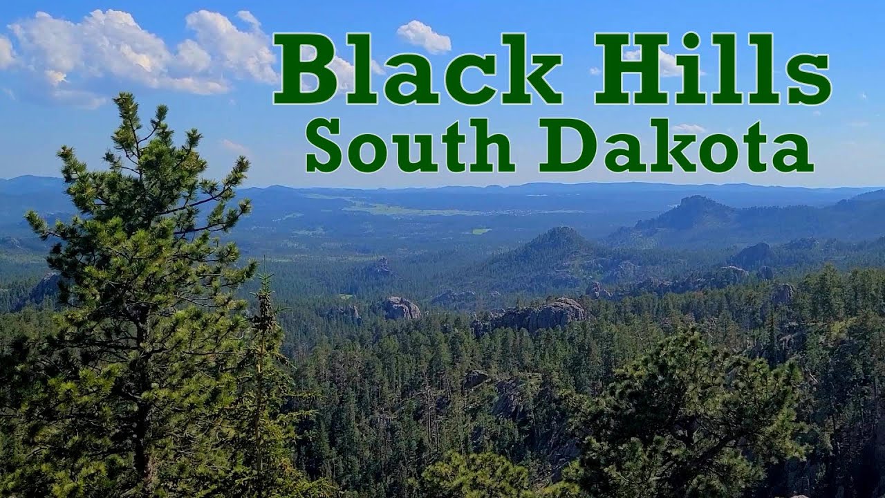 The BLACK HILLS of South Dakota | DEADWOOD | SPEARFISH CANYON | CUSTER STATE PARK | WIND CAVE