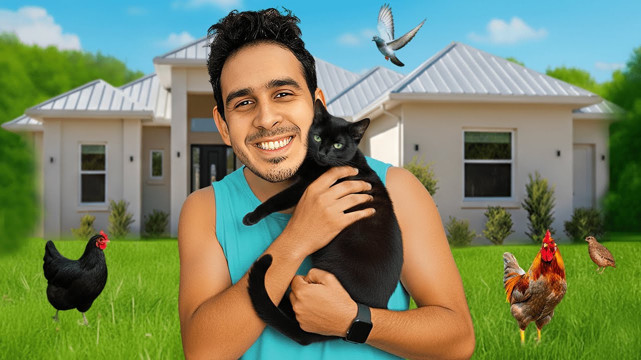 LLega Un Gato Negro a La Finquita Bonita 😱🐈 Que Hacemos?🔥