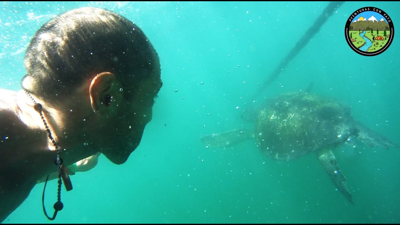 🇵🇪NADO con TORTUGAS en LOS ORGANOS y te muestro MANCORA como NADIE ANTES TE LO MOSTRO | PERÚ