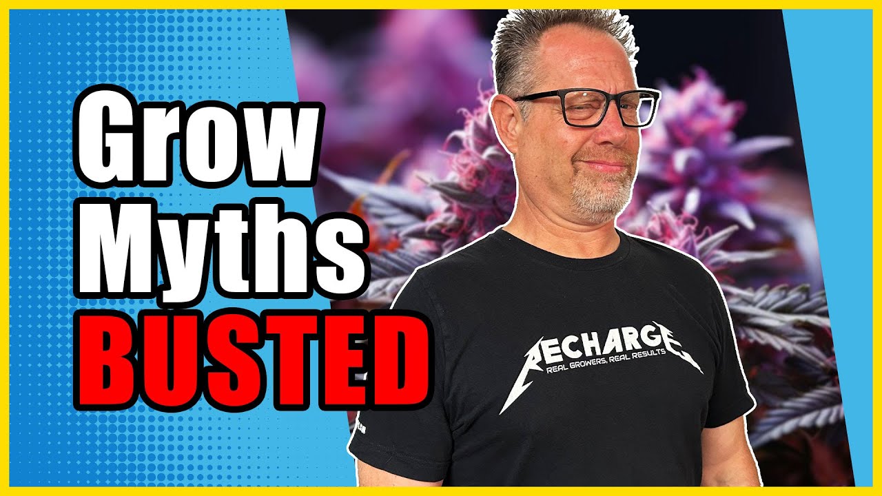 3 Cannabis Growing Myths That Need to D!e Now