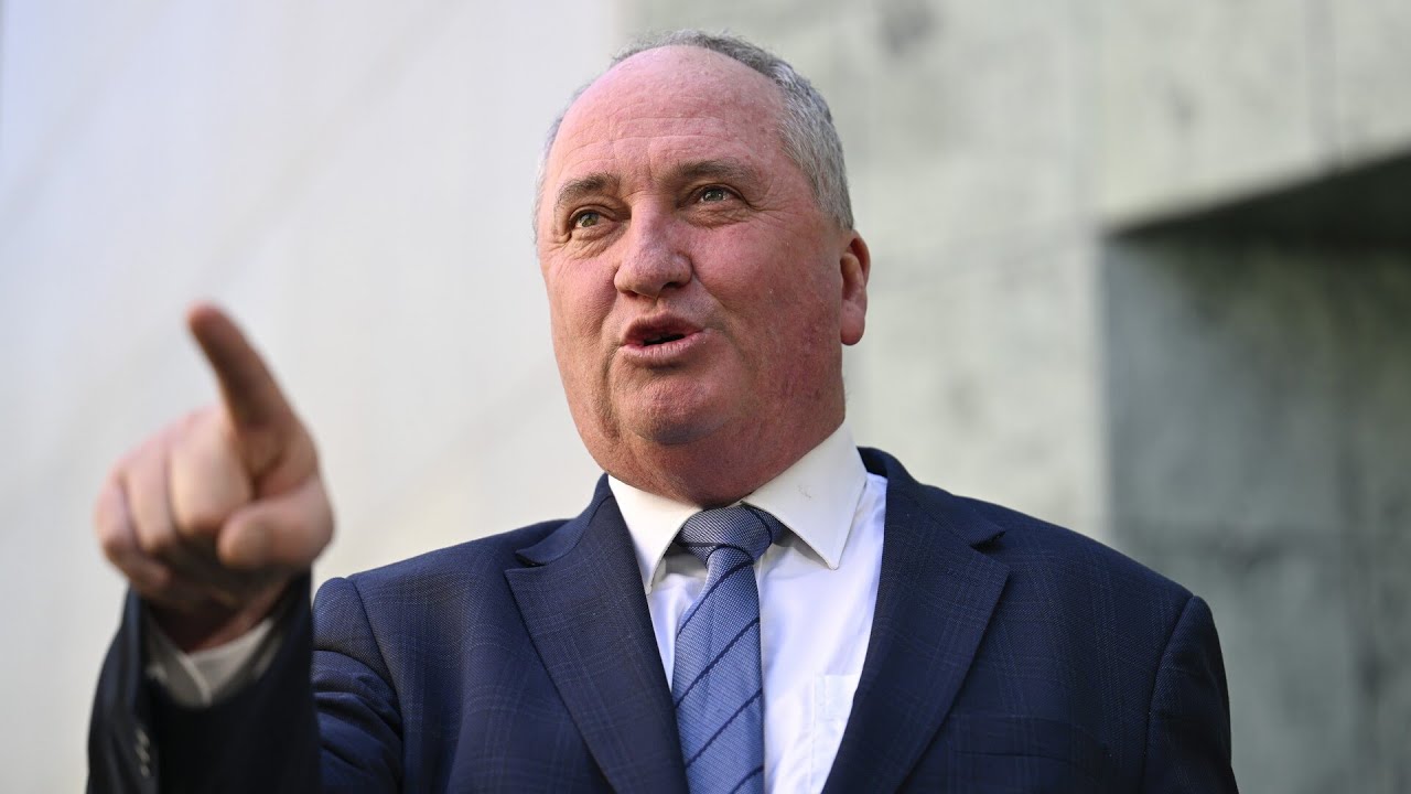 Barnaby Joyce could &lsquo;eventually lead&rsquo; One Nation: Andrew Bolt