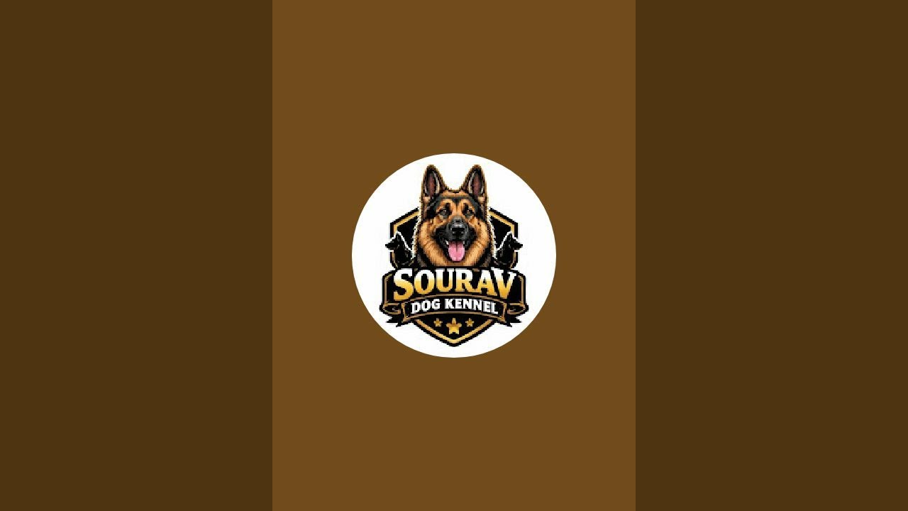 Sourav Dog kennel  is live!