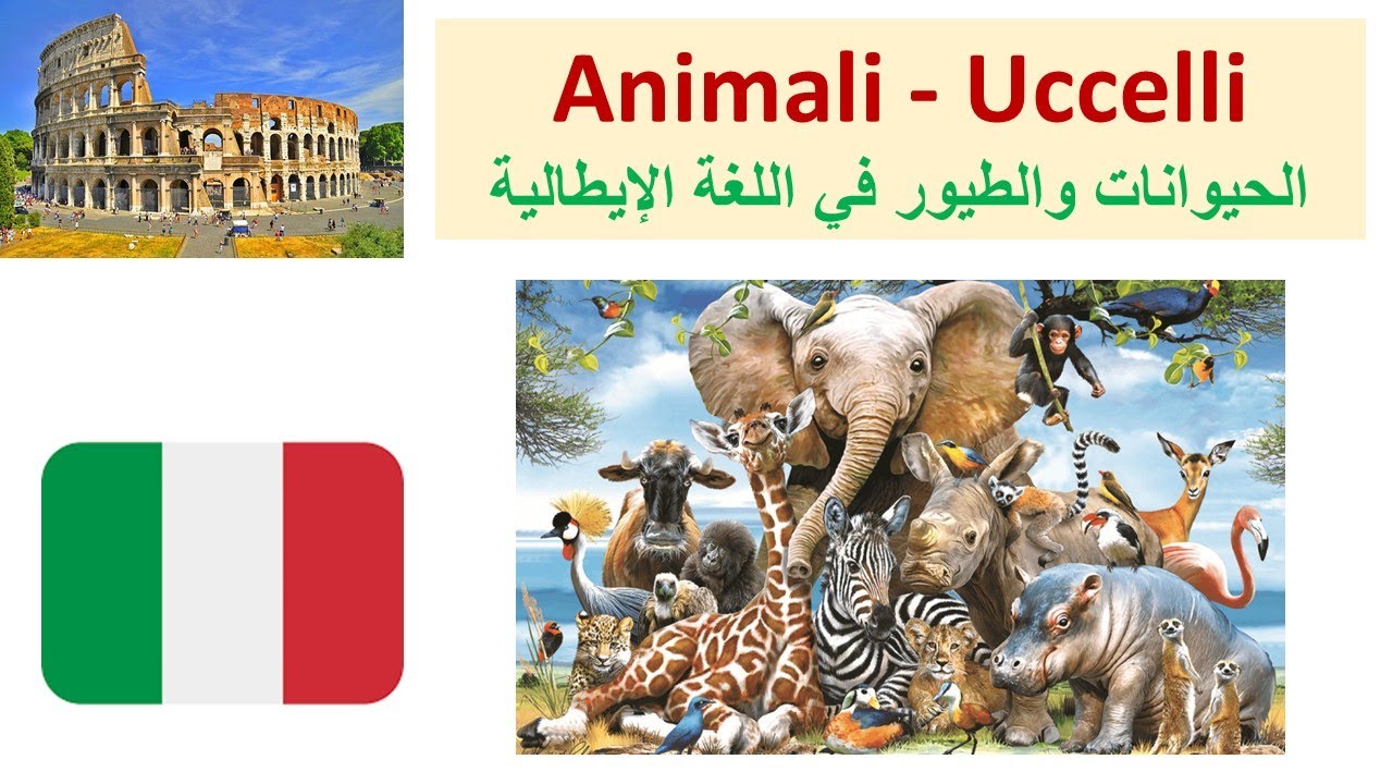 Gli animali / Gli uccelli - تعلم اسماء الحيوانات  والطيور باللغة الإيطالية
