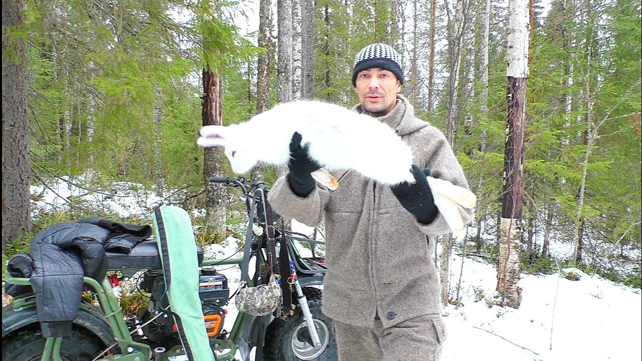 СТРАННОЕ ПОВЕДЕНИЕ ЗВЕРЯ ПОСЛЕ ВЫСТРЕЛА. ПРИШЛОСЬ ДОБИВАТЬ / ОХОТА НА ЗАЙЦА В ТАЙГЕ ПО СЛЕДАМ.