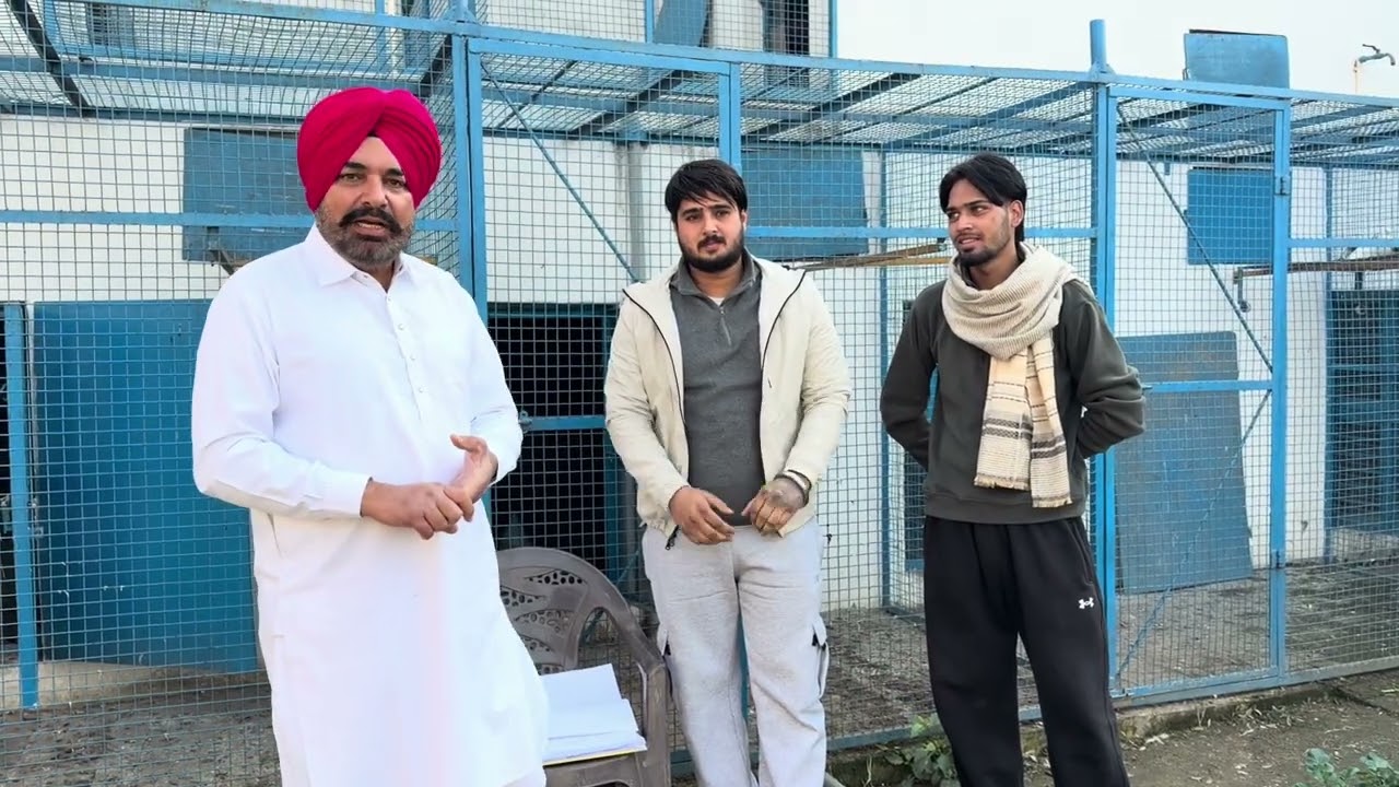 winner raja champions chicks by Babbu Kainth 8872117070