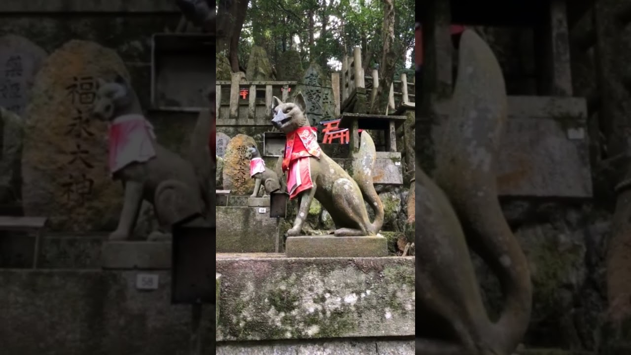 Fushimi Inari Shrine (Kyoto)