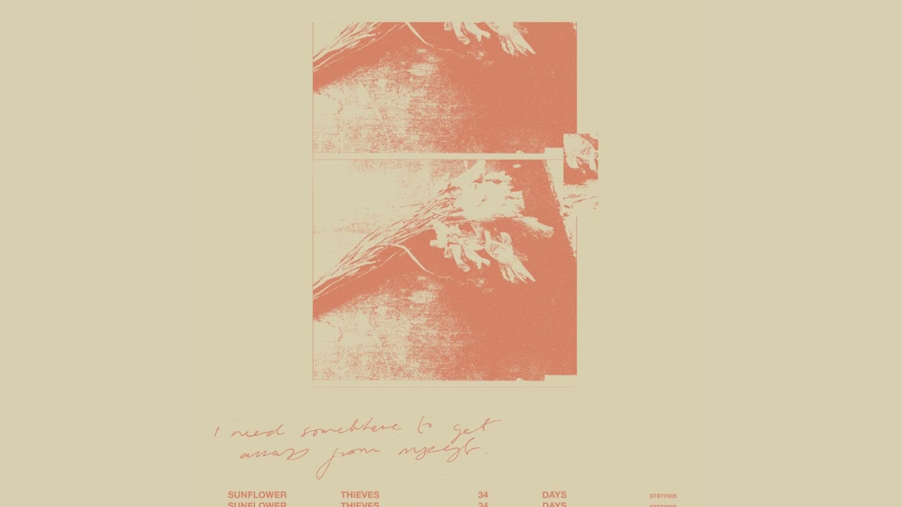 34 Days - Sunflower Thieves