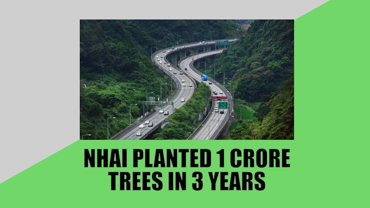 NHAI Planted 1 Crore Trees in 3 Years - RealtyMyths