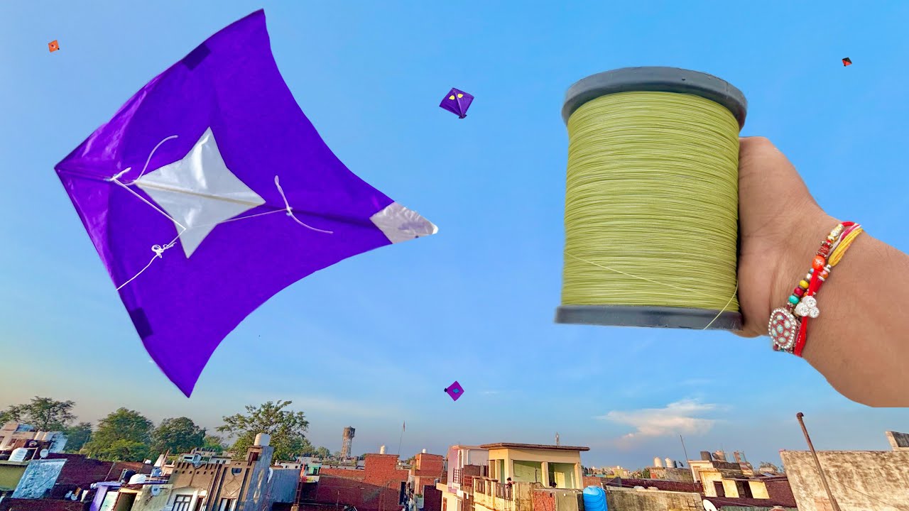 Kite Flying On 14 August | Kite Cutting | Kite Fight | Kite