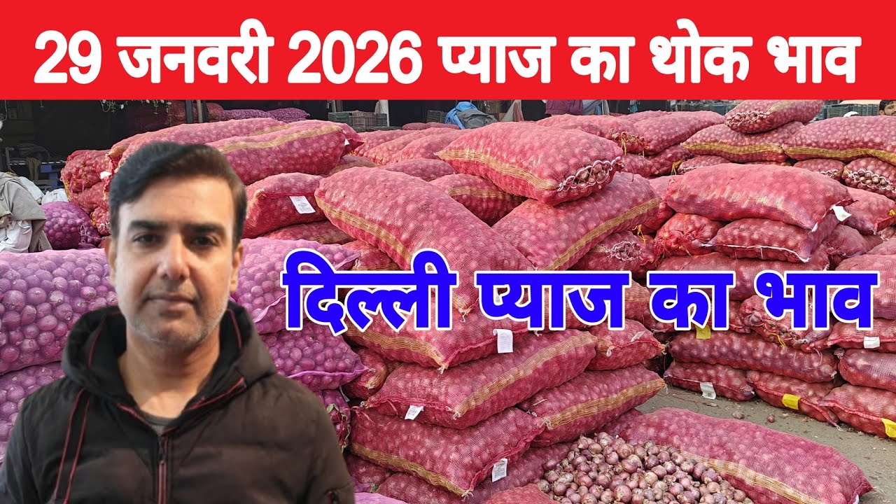 दिल्ली केशोपुर मंडी | 🧅Today onion rates | Today Onion price | Piyaj | 29 Jan 2026 #pyaj #mandiprice