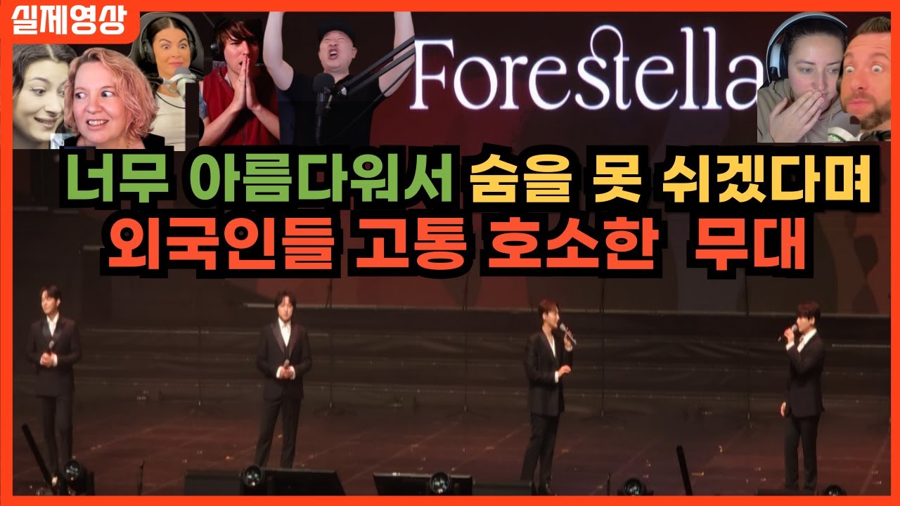 [최신해외반응] 2025년에도 환자들 양성하는 포레스텔라 스카보로페어 해외반응 한글자막 forestella scarborough fair REACTION REACT