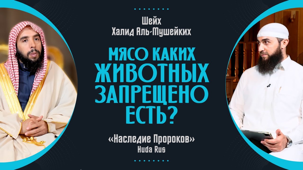 Мясо каких животных запрещено и дозволено в Исламе? | Шейх Халид аль-Мушейких «Наследие Пророков»