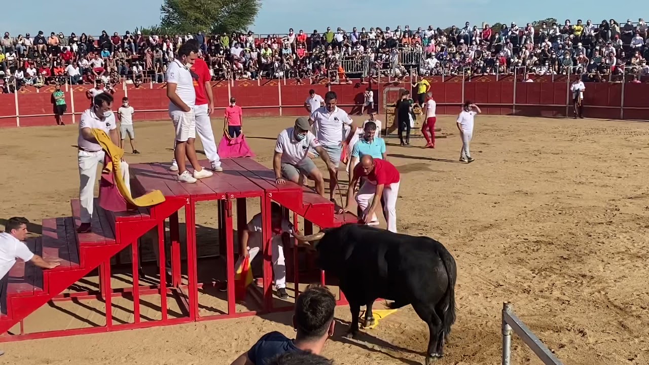 2021-9-29_ Festejo taurino de San Miguel. Rincón de Soto, La Rioja