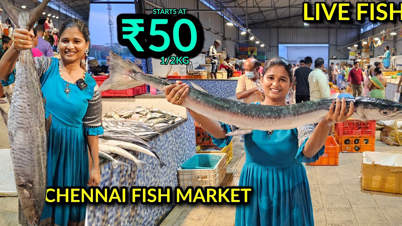 Chennai fish market | Vera mari fish💥